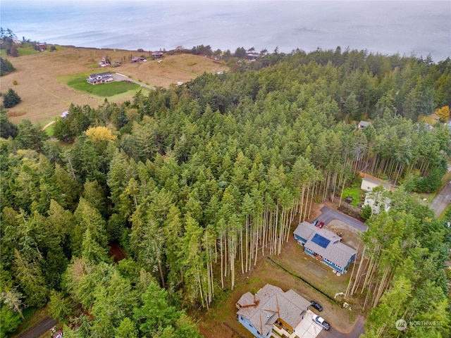 053XX Sheridan St, Port Townsend, WA 98368 - photo 5