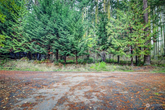 053XX Sheridan St, Port Townsend, WA 98368 - photo 7