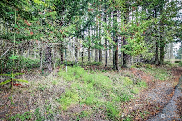 053XX Sheridan St, Port Townsend, WA 98368 - photo 8