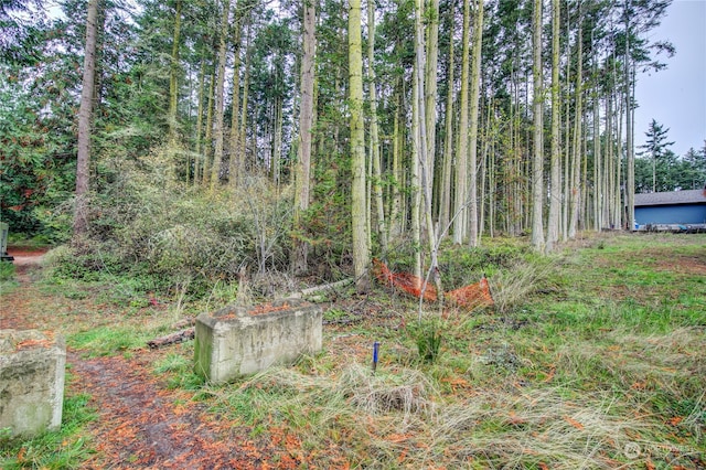 053XX Sheridan St, Port Townsend, WA 98368 - photo 9
