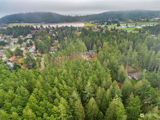 053XX Sheridan St, Port Townsend, WA 98368 - photo 12