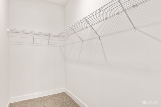 spacious closet featuring carpet flooring