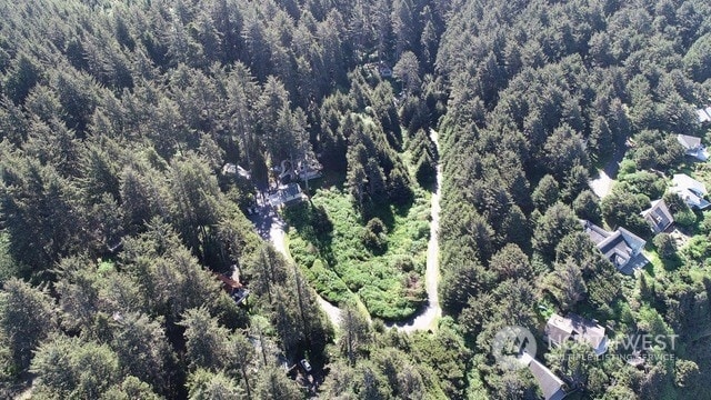 10 Wendy Ln, Copalis Beach, WA 98535 - photo 9
