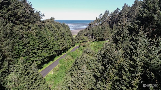 10 Wendy Ln, Copalis Beach, WA 98535 - photo 11