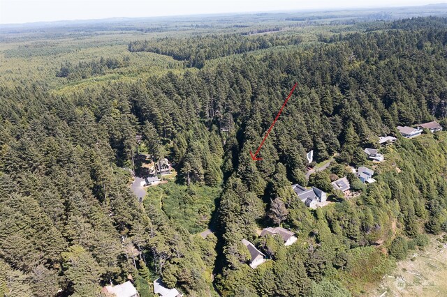 10 Wendy Ln, Copalis Beach, WA 98535 - photo 16