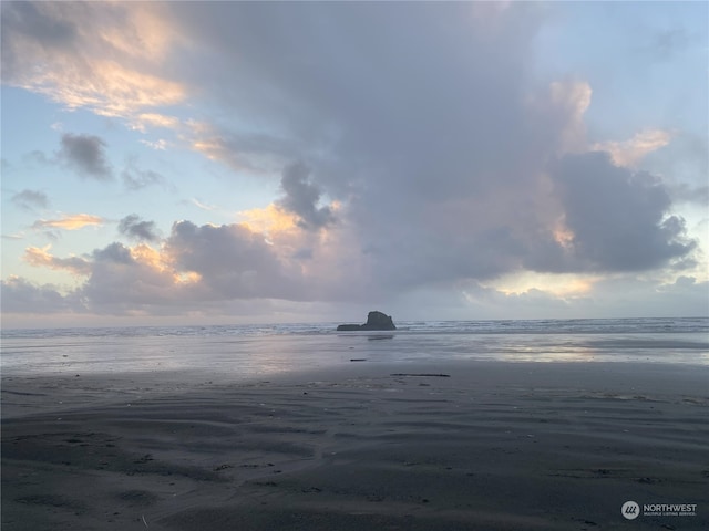 10 Wendy Ln, Copalis Beach, WA 98535 - photo 28