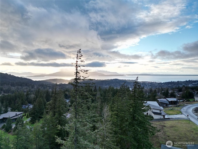 Listing photo 3 for 4334 Samish Crest Dr, Bellingham WA 98229