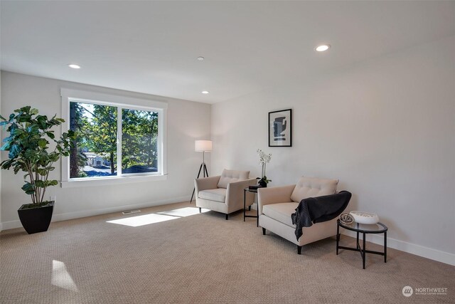 sitting room with light colored carpet