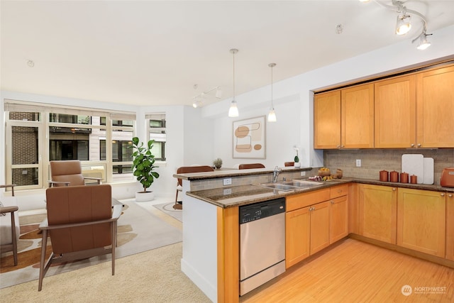 kitchen featuring pendant lighting, rail lighting, dishwasher, tasteful backsplash, and light wood-type flooring