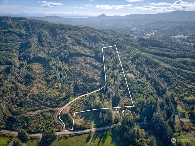 0TRACT1 S Valley Rd, Naselle, WA 98638 - photo 4