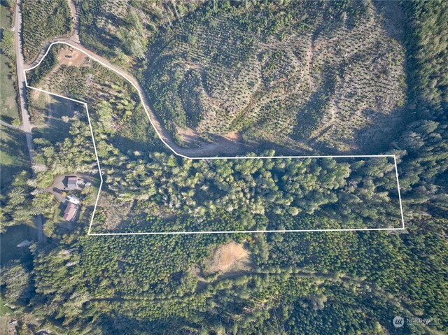 0TRACT1 S Valley Rd, Naselle, WA 98638 - photo 7