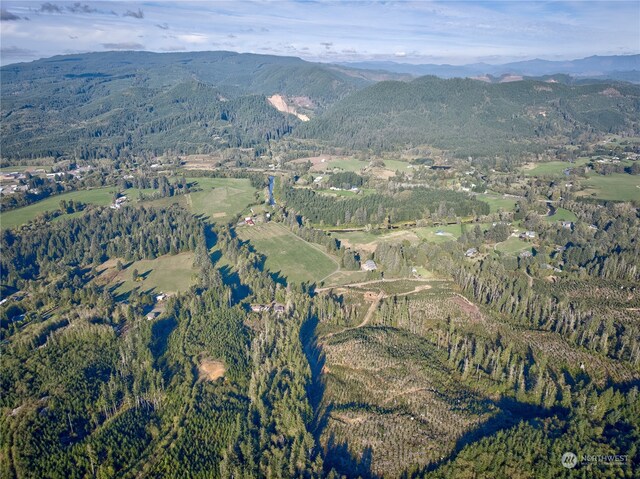 0TRACT1 S Valley Rd, Naselle, WA 98638 - photo 8