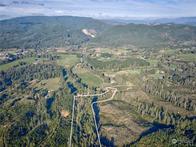 0TRACT1 S Valley Rd, Naselle, WA 98638 - photo 9