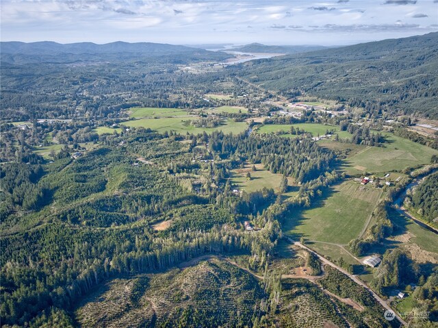 0TRACT1 S Valley Rd, Naselle, WA 98638 - photo 11