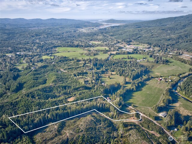 0TRACT1 S Valley Rd, Naselle, WA 98638 - photo 12