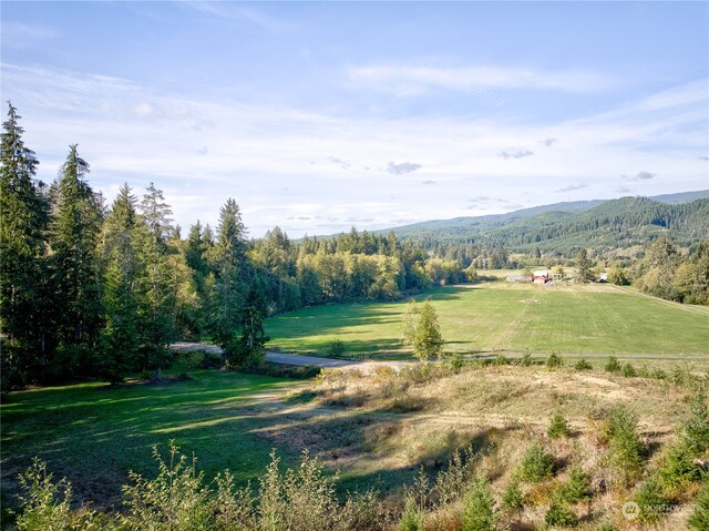0TRACT1 S Valley Rd, Naselle, WA 98638 - photo 14