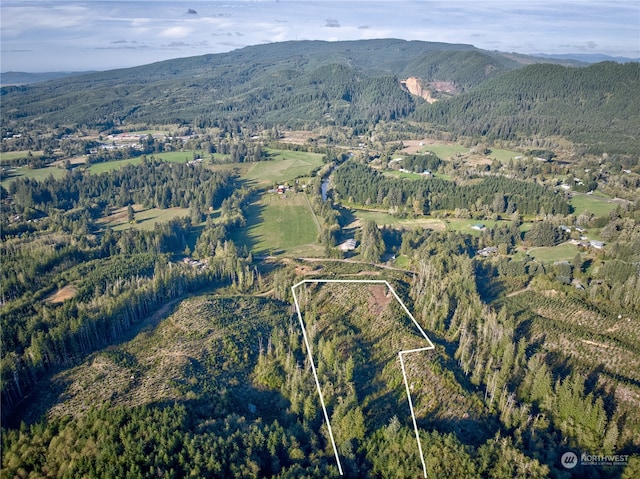 0TRACT2B S Valley Rd, Naselle, WA 98638 - photo 11