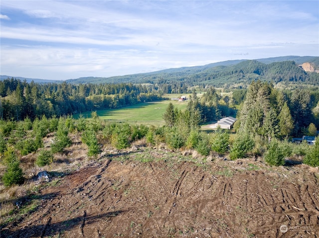 0TRACT2B S Valley Rd, Naselle, WA 98638 - photo 15