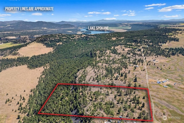 51200 E Whispering Pines Dr, Reardan WA, 99029 land for sale