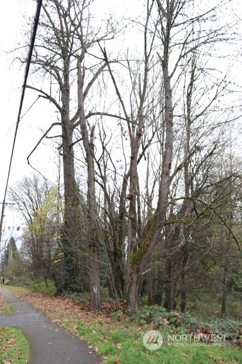 620 Wildwood Blvd SW, Issaquah, WA 98027 - photo 10