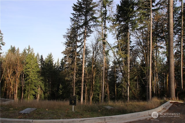 Listing photo 2 for 17760 SE 62nd Pl Lot 9, Bellevue WA 98006