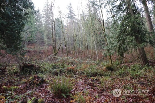 18700 SE 64th Way, Issaquah, WA 98027 - photo 7