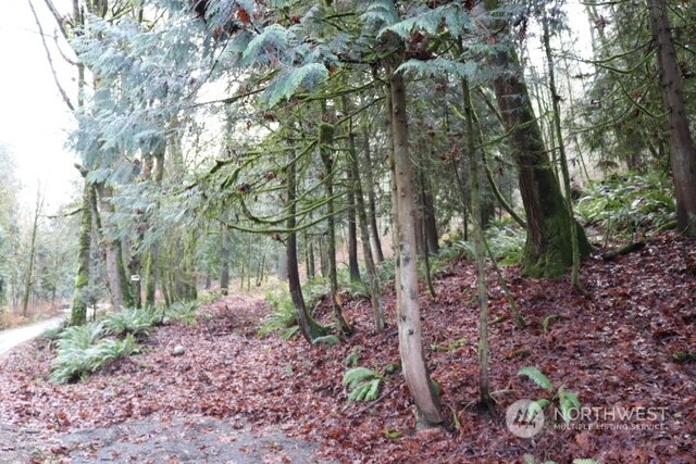 18700 SE 64th Way, Issaquah, WA 98027 - photo 10