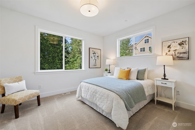 bedroom with carpet floors, visible vents, and baseboards