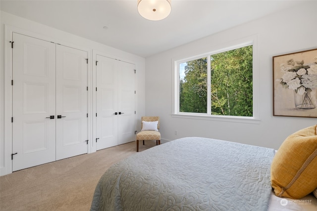 bedroom with carpet floors and two closets