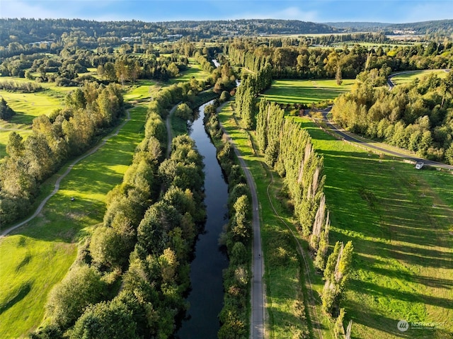 bird's eye view with a view of trees