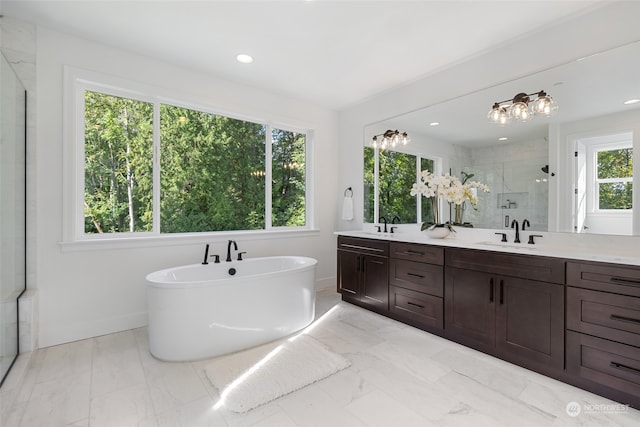 full bath with a freestanding bath, double vanity, a stall shower, and a sink