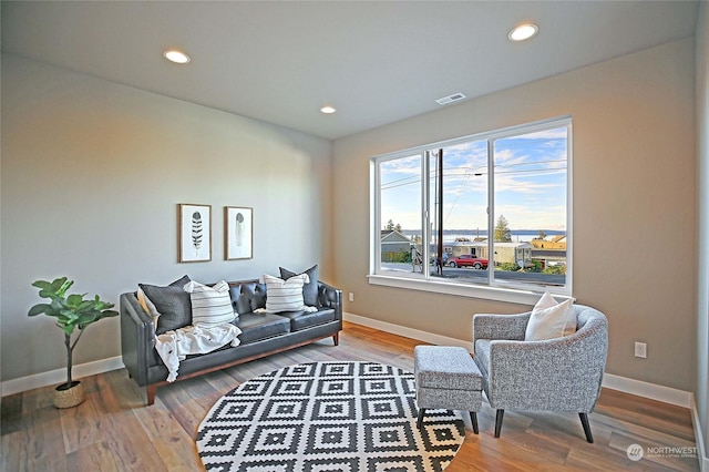 living room with hardwood / wood-style floors