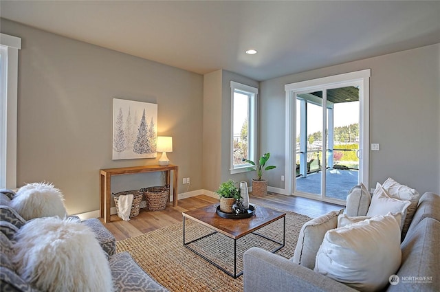 living room with light hardwood / wood-style flooring