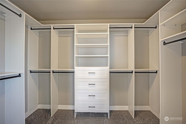 spacious closet featuring dark colored carpet