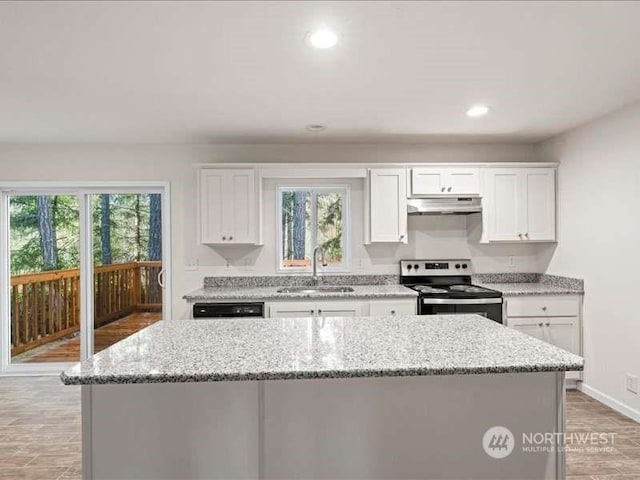670 E Wilson Way, Grapeview, WA 98546 - kitchen with stainless steel electric range, a sink, under cabinet range hood, healthy amount of natural light, and recessed lighting