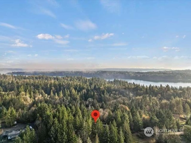 670 E Wilson Way, Grapeview, WA 98546 - view of property location featuring a heavily wooded area and a nearby body of water