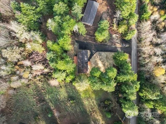 670 E Wilson Way, Grapeview, WA 98546 - view from above of property