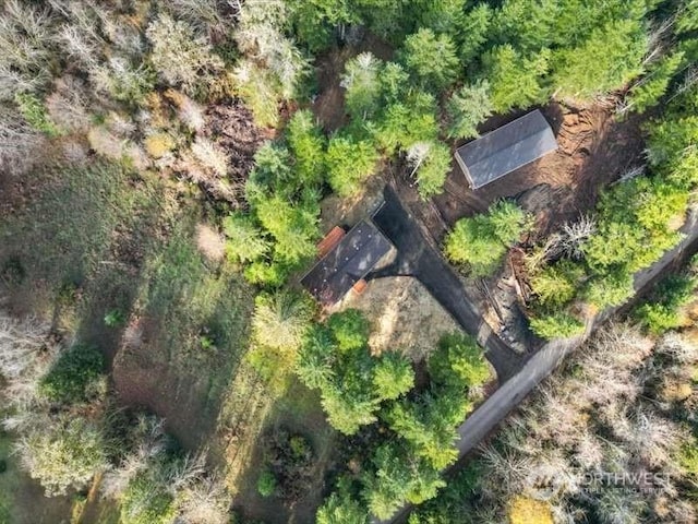 670 E Wilson Way, Grapeview, WA 98546 - aerial view of property and surrounding area