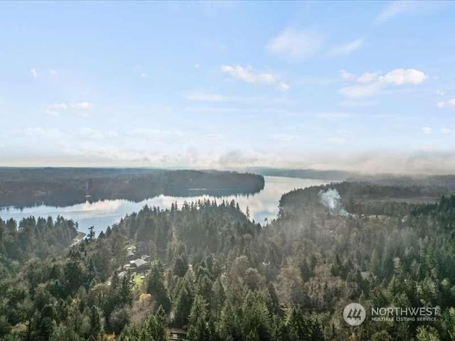 670 E Wilson Way, Grapeview, WA 98546 - water view with a heavily wooded area