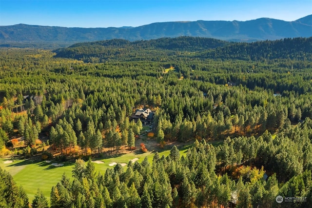 birds eye view of property featuring a mountain view and a view of trees