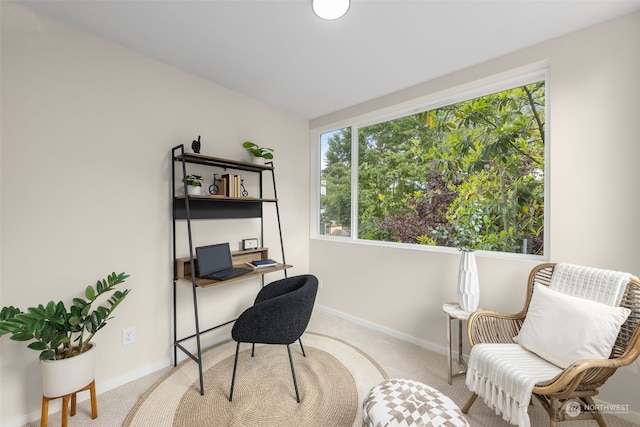 view of carpeted office space