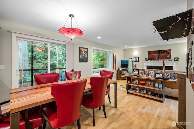 dining area featuring a healthy amount of sunlight and light hardwood / wood-style floors