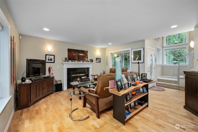 living room featuring light hardwood / wood-style floors