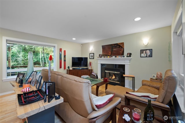 living room featuring hardwood / wood-style flooring