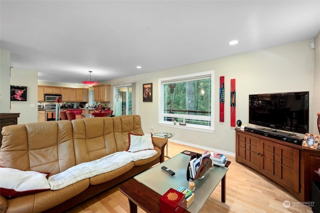 living room featuring light hardwood / wood-style flooring