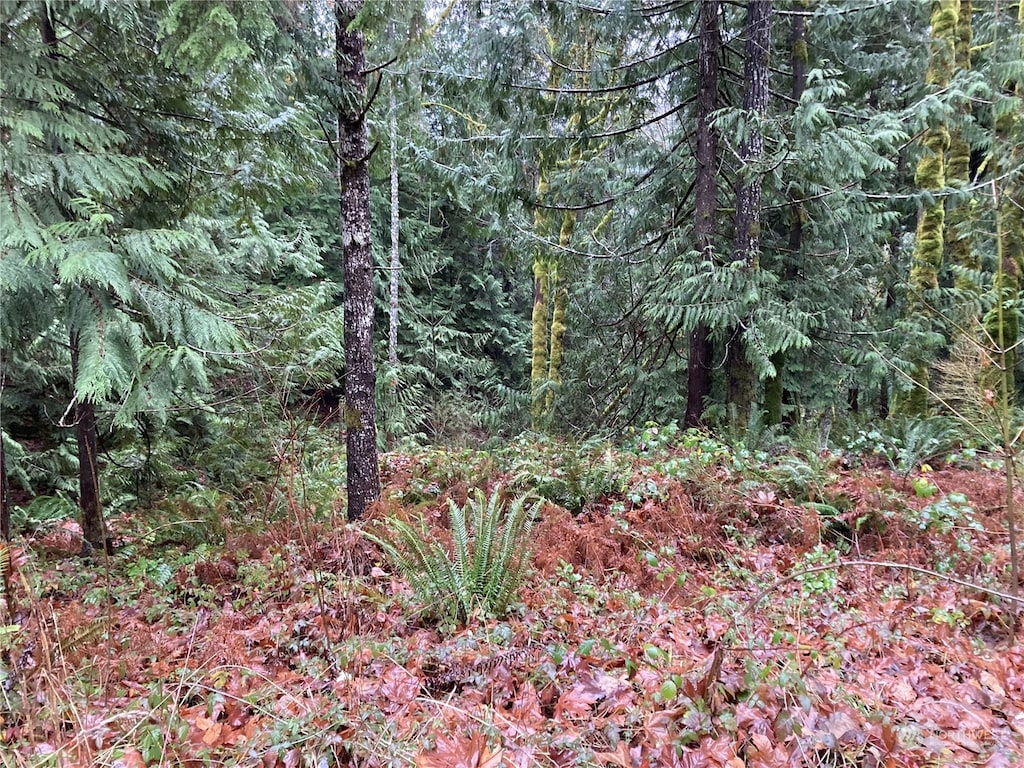 0 Arabian Dr, Brinnon, WA 98320 - photo 1