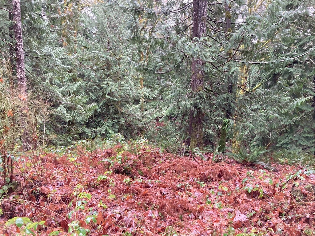 0 Arabian Dr, Brinnon, WA 98320 - photo 2