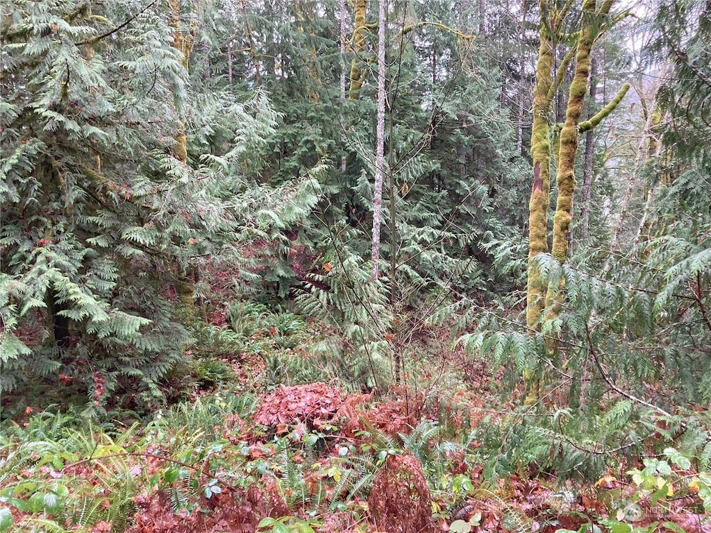 0 Arabian Dr, Brinnon, WA 98320 - photo 3