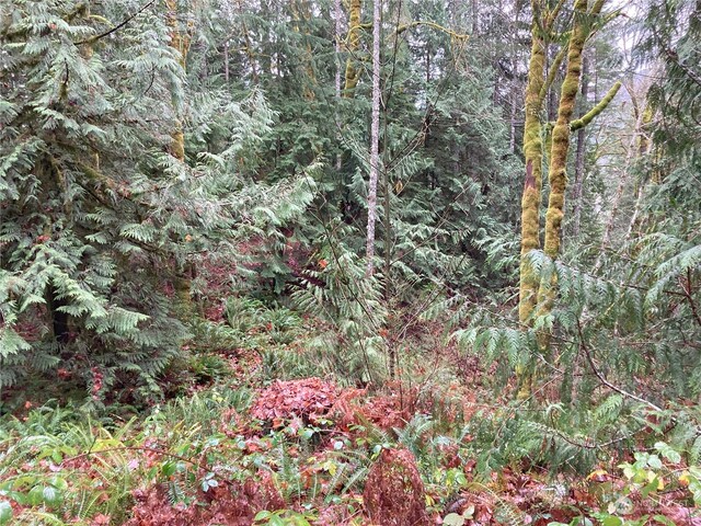 0 Arabian Dr, Brinnon, WA 98320 - photo 3
