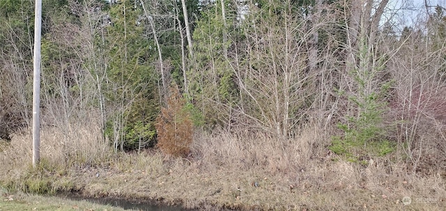 4492 Sweet Rd, Blaine, WA 98230 - photo 3